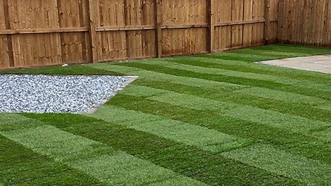 Turf Gallery & Reviews