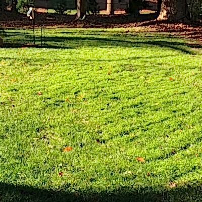 Image for choice number 1