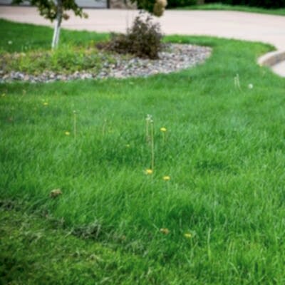 Image for choice number 2