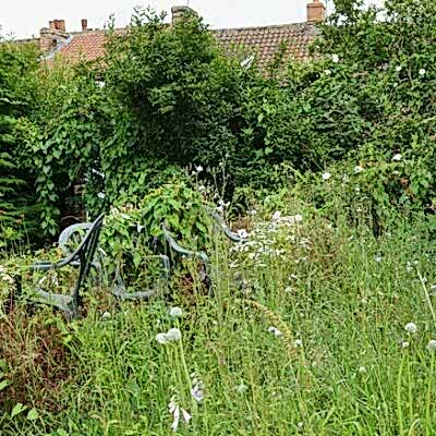 Image for choice number 4