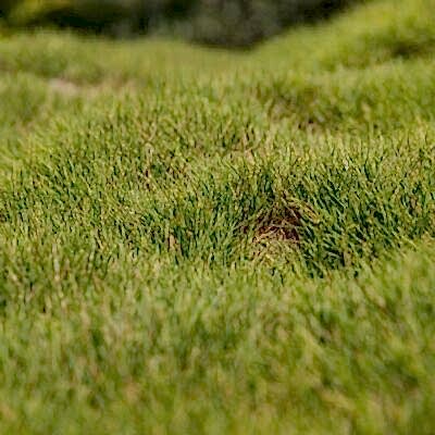 Image for choice number 3