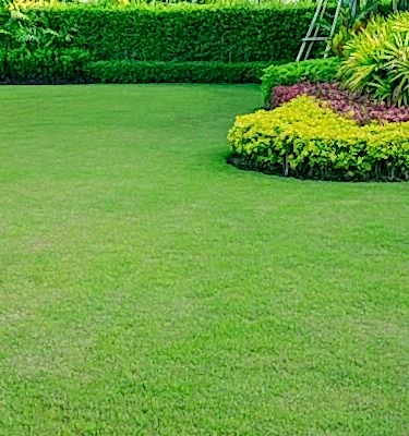 Image for choice number 1