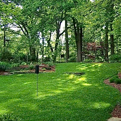 Image for choice number 3