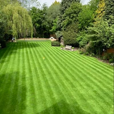 Image for choice number 2