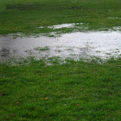 Image for choice number 2